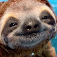 sloth
