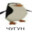 Skype Steam avatar