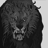 Lion - steam id 76561197960501755