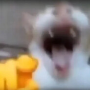 zyg