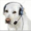 callcenterdog