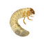 GRUB 4