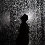 有钱只吃青椒肉丝