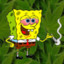 Weedbob