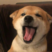 你捡起来看看自己配吗