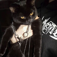 Petrosilius Zwackelmann