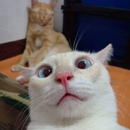 мрачный лорд