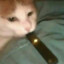 minc