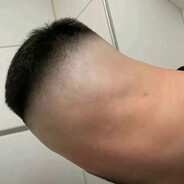 shoutout to my barber dog