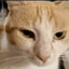 КОТЯХ ВОЛОДЯ