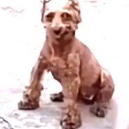 又菜又爱玩