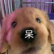 ___下等马分界线___