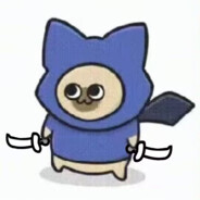 我要成为双剑高手