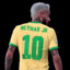 FC 1109876911