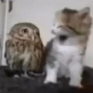 опа у меня тоже есть птички