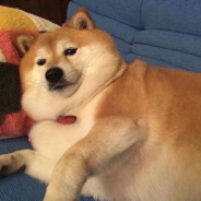 瓜子可乐八宝粥