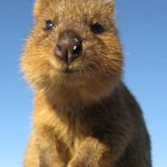 меня разбанили