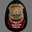 Auditor Fiscal