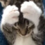 bunnnybaby