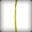 Asparagus