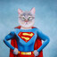 5uperman.