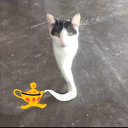 Avatar snapshot