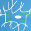 Brodstar