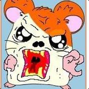hamtaro