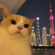 lozken - steam id 76561199468790174
