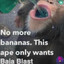 Barnaby Bananas