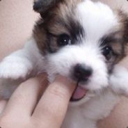 初夜没了、初吻还在