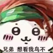 我的子弹很大你忍一下