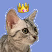 肉夹馍不放香菜