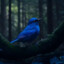 Sparrowgale