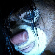 性感攻击手aveiro