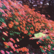 NommyCookie's avatar