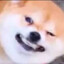 madd0ggg