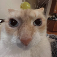 lil Pós