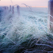 被忽视的小确幸