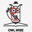 Owl_Wise