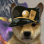 DogeJotaro