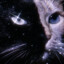 zNy-