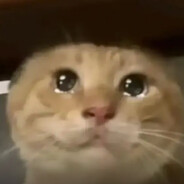 234LLL