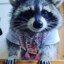 Cyber Raccoon