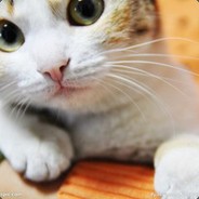 钢筋铁骨老妇女