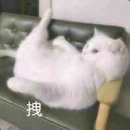 两心相许