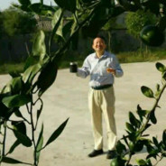 改逆天id等战地风云六