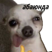 yzl1k