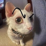 mali barabinhos - steam id 76561199677050246