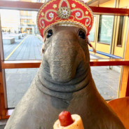 ♡我✿nW✿我♡- Mandaryna